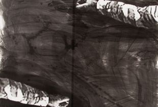The Space Between, 2011, Gelatin-Silver, 40x40"© Ross Faircloth