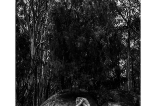 Human Nature- Namadgi - Australia #1