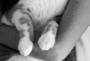 Toulouse & Rachel, the hug.