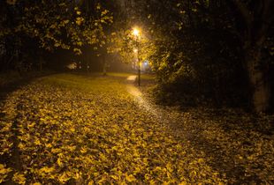 Footpath
