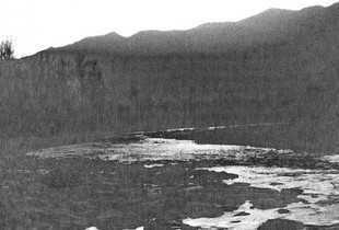 Loose Landscape 00