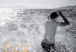 THE BOOK  - EXOTIC SUMMER