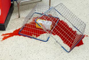 Supermarket Spill