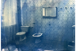 Ceausescu's toilet