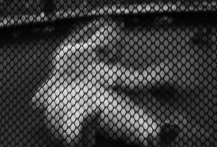 will you catch me?