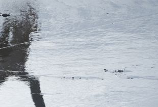 Altérités 3