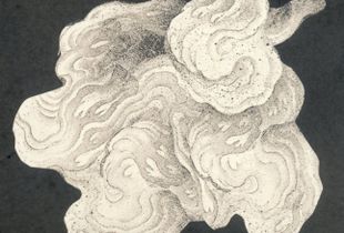 Chinese Cloud Form