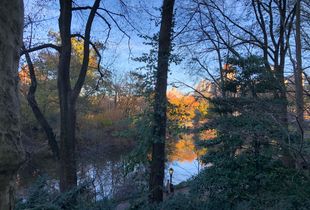 Central Park Golden Hour