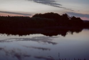 Grey hour. Narew river, Podlasie, Poland