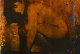 The naked ape