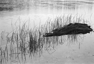 Rainy Day Cooper Lake