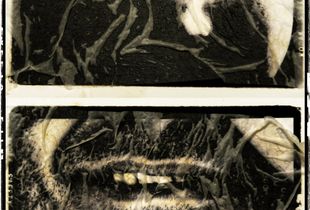 Anonymous