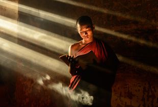 Monk and a Serpent