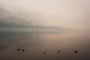 Mist You(2)