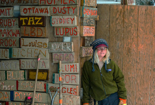 Sled Dog Wall of Fame