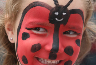 Ladybug