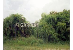 Tiki Gardens