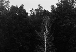 Isolation