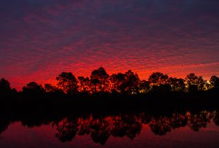 1680 Sunrise