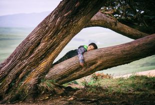 Point Reyes