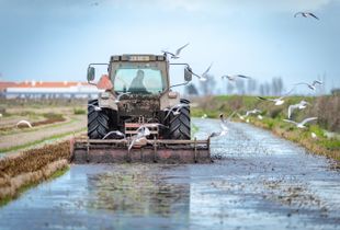 Preparing the fields...