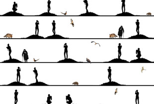 Birdwatching