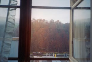 Morning