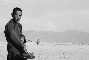 the Kite's plan © Gigi Roccati
