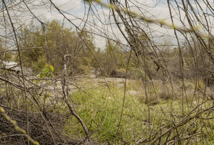 San Gabriel River, 2023