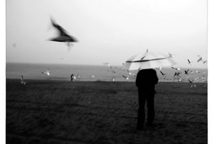 Coney Island