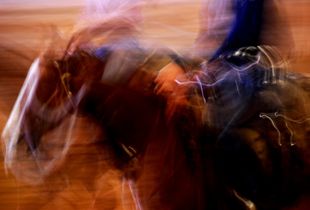Cutting Horse Competition, Kalispell, Montana