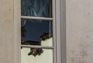 Roofs in the window