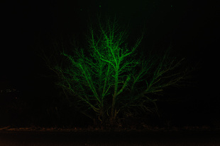 missed green