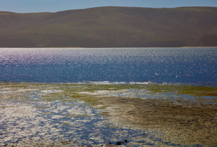 Point Reyes National Seashore, Ca