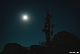 Moon Nights