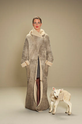 Lamb