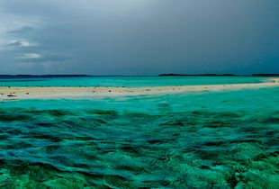 cayo muerto