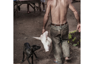 The Butcher of Trinidad .