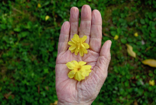 Maya Lullaby 1