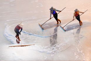Salt making