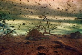 Dust Storm