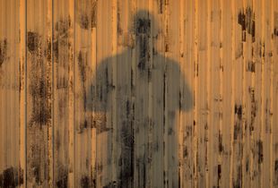 Shadow and Shed