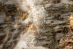 Cosm'eau