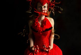 MEDUSA IV. A Thousand faces of Medusa