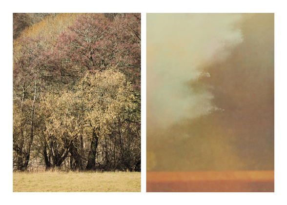 Diptych I