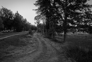 Access road, Tzurumutaro, 2023