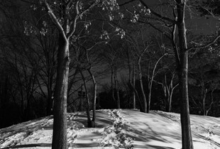 Enter A World Alone