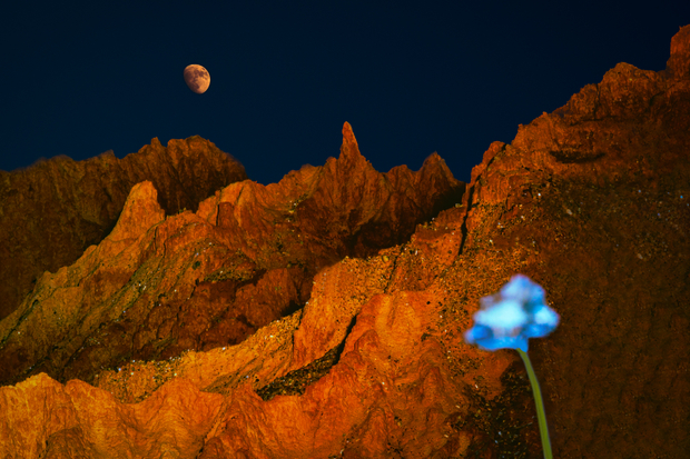The Imperfection Of Beauty: The 'Mountains' of East Texas #II-05