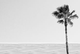 Los Angeles, Rodeo Drive