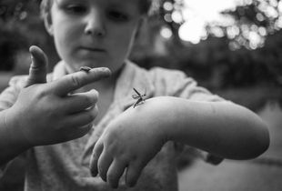 Catching Fireflies
